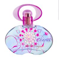 Salvatore Ferragamo Incanto Charms