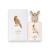 Lattafa Perfumes Shaheen Gold унів Lattafa Perfumes Shaheen Gold унів