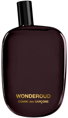 Comme Des Garcons Wonderoud