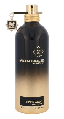 Montale Spicy Aoud Montale Spicy Aoud