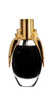 Lady Gaga Fame